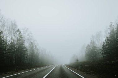 Sisli bir günde yoğun bir ormanda sisli bir yol kıvrılarak sakin ama gizemli bir atmosfer yaratır. Uzun ağaçlar, yayılmış ışık altında sahneyi çerçeveler..