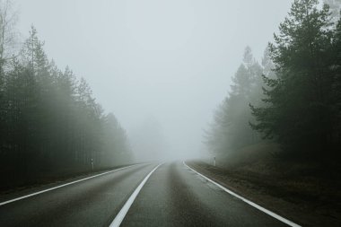 Sisli bir günde yoğun bir ormanda sisli bir yol kıvrılarak sakin ama gizemli bir atmosfer yaratır. Uzun ağaçlar, yayılmış ışık altında sahneyi çerçeveler..