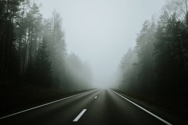 Sisli bir günde yoğun bir ormanda sisli bir yol kıvrılarak sakin ama gizemli bir atmosfer yaratır. Uzun ağaçlar, yayılmış ışık altında sahneyi çerçeveler..