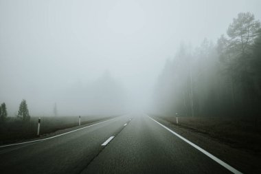 Sisli bir günde yoğun bir ormanda sisli bir yol kıvrılarak sakin ama gizemli bir atmosfer yaratır. Uzun ağaçlar, yayılmış ışık altında sahneyi çerçeveler..