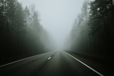 Sisli bir günde yoğun bir ormanda sisli bir yol kıvrılarak sakin ama gizemli bir atmosfer yaratır. Uzun ağaçlar, yayılmış ışık altında sahneyi çerçeveler..