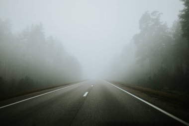 Sisli bir günde yoğun bir ormanda sisli bir yol kıvrılarak sakin ama gizemli bir atmosfer yaratır. Uzun ağaçlar, yayılmış ışık altında sahneyi çerçeveler..