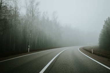 Sisli bir günde yoğun bir ormanda sisli bir yol kıvrılarak sakin ama gizemli bir atmosfer yaratır. Uzun ağaçlar, yayılmış ışık altında sahneyi çerçeveler..