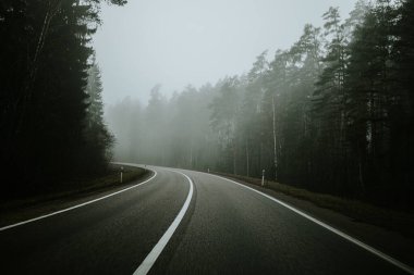 Sisli bir günde yoğun bir ormanda sisli bir yol kıvrılarak sakin ama gizemli bir atmosfer yaratır. Uzun ağaçlar, yayılmış ışık altında sahneyi çerçeveler..