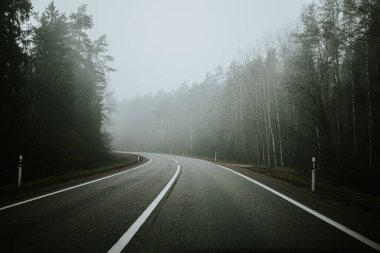 Sisli bir günde yoğun bir ormanda sisli bir yol kıvrılarak sakin ama gizemli bir atmosfer yaratır. Uzun ağaçlar, yayılmış ışık altında sahneyi çerçeveler..