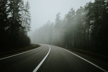 Sisli bir günde yoğun bir ormanda sisli bir yol kıvrılarak sakin ama gizemli bir atmosfer yaratır. Uzun ağaçlar, yayılmış ışık altında sahneyi çerçeveler..