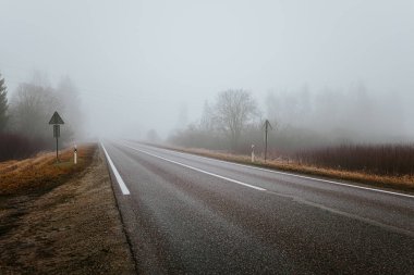 Sisli tarlalar ve çorak ağaçlarla çevrili demiryolu kavşağına giden boş bir kırsal yol. Sisli atmosfer dingin ve karamsar bir sahne yaratır..