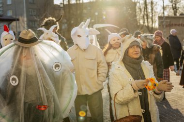 Bir grup kostümlü katılımcı, geleneksel kıyafet ve festival maskeleriyle Kış Gündönümünü kutluyor, kültürel mirası ve mevsimsel keyfi ele geçiriyorlar. 12.21.2024 Balvi, Letonya