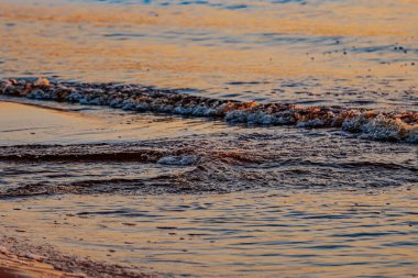Sıcak altın güneş ışığıyla aydınlatılan yumuşak okyanus dalgaları kumlu sahile yuvarlanıyor. Işıldayan su gökyüzünün renklerini yansıtıyor, sakin ve manzaralı bir kıyı manzarası yaratıyor..