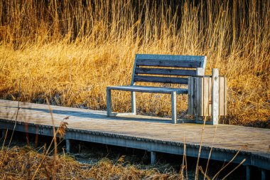 Metal çerçeveli ahşap bir bank ve bağlı çöp tenekesi, etrafında kuru altın çimenler olan bir kaldırımda oturur ve güneş ışığında uzun bir gölge bırakır. Huzurlu bir dinlenme yeri.