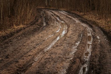 Derin lastik izleri ve su birikintileri olan çamurlu toprak bir yol ormanda esiyor. Islak, düzensiz arazi ve bulutlu ışık engebeli ve atmosferik bir manzara yaratır..