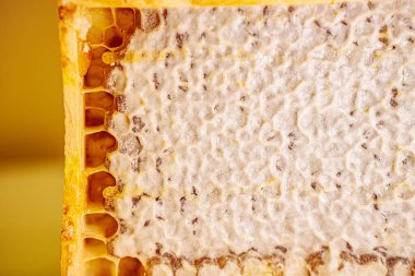 Dokulu balmumu yüzeyinin doğal engebeli bir deseni ve ince renk değişimleriyle yakın çekim makro çekimi. Organik yapı, bal peteği balmumunun karmaşık detaylarını vurgular..