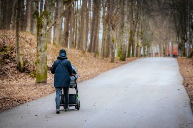 women walk along a curved path in a park, one pushing a baby stroller. It's a bright day with greenery and other people in the background