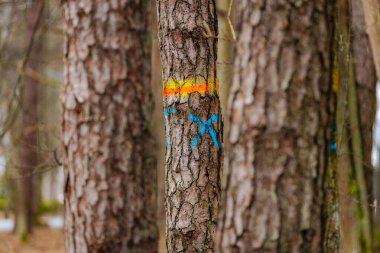 Ormandaki bir ağaç parlak turuncu bir şeritle işaretlenir. Bu da orman yönetimi için seçilimi gösterir. Ağaç kabuğu ve bulanık arka plan doğal ve kırsal bir atmosfer yaratır..