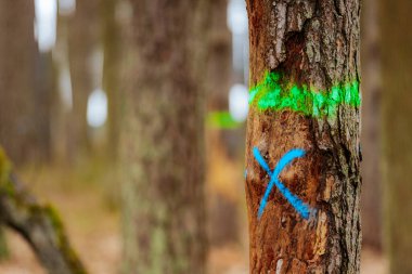 Ormandaki bir ağaç parlak turuncu bir şeritle işaretlenir. Bu da orman yönetimi için seçilimi gösterir. Ağaç kabuğu ve bulanık arka plan doğal ve kırsal bir atmosfer yaratır..