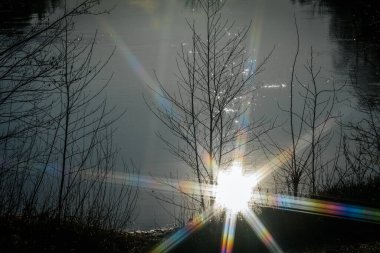 Güneş sakin bir nehirden yansıyarak göz kamaştırıcı bir gökkuşağı merceği parıltısı etkisi yaratır. Çıplak ağaç dalları, ışıldayan suyu çerçeveletip huzur sahnesine derinlik katıyor..