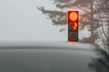 Siyah bir araba, çıplak ağaçlarla kaplı sisli bir kırsal yolda sarı bir dur işaretinin yanında kırmızı bir trafik lambasının önünde bekliyor. Huysuz ve atmosferik. Orman çevrili..