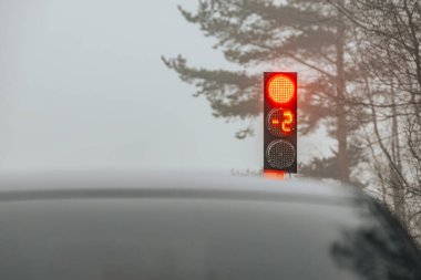 Siyah bir araba, çıplak ağaçlarla kaplı sisli bir kırsal yolda sarı bir dur işaretinin yanında kırmızı bir trafik lambasının önünde bekliyor. Huysuz ve atmosferik. Orman çevrili..