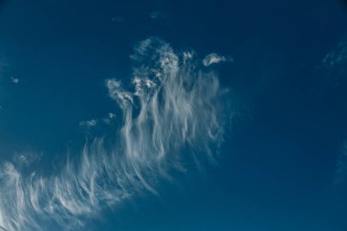 Uzun, kuş tüyü gibi beyaz bulutlar zengin mavi bir gökyüzü boyunca uzanıyor ve dinamik ve havadar bir atmosfer yaratıyor..