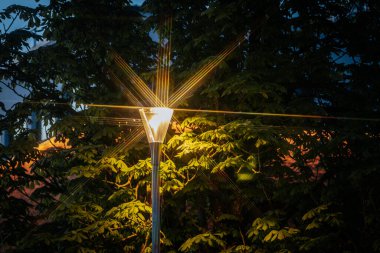 Modern bir sokak lambası, akşam çökerken etrafındaki yeşil yapraklara sıcak ışık saçan parlak bir yıldız patlaması yayar..