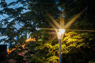 Modern bir sokak lambası, akşam çökerken etrafındaki yeşil yapraklara sıcak ışık saçan parlak bir yıldız patlaması yayar..