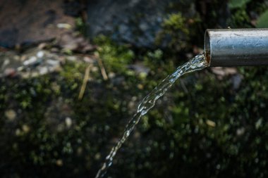 Doğal ortamdaki metal bir borudan gelen temiz su akıntıları, toprak tonlarının ve yeşilliğin yumuşak odaklı arka planına sahiptir..