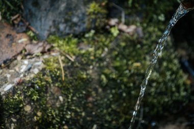 Doğal ortamdaki metal bir borudan gelen temiz su akıntıları, toprak tonlarının ve yeşilliğin yumuşak odaklı arka planına sahiptir..