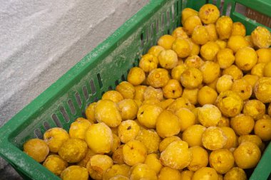 Buz gibi yüzeylerini ve doğal dokularını gözler önüne seren büyük bir donmuş sarı ayva koleksiyonu..