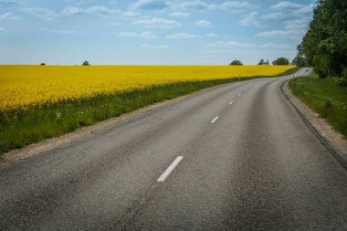 Dolambaçlı kırsal bir yol, sarı kolza tohumu tarlalarından ve parlak mavi gökyüzünün altındaki yemyeşil ağaçlardan ve dağınık bulutlardan oluşan manzaralı bir araziden geçer..