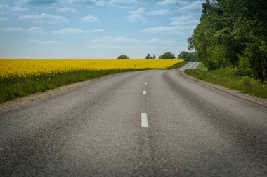 Dolambaçlı kırsal bir yol, sarı kolza tohumu tarlalarından ve parlak mavi gökyüzünün altındaki yemyeşil ağaçlardan ve dağınık bulutlardan oluşan manzaralı bir araziden geçer..