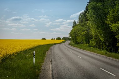 Dolambaçlı kırsal bir yol, sarı kolza tohumu tarlalarından ve parlak mavi gökyüzünün altındaki yemyeşil ağaçlardan ve dağınık bulutlardan oluşan manzaralı bir araziden geçer..