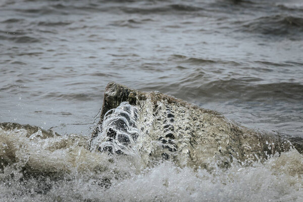 Темная скала, частично погруженная в морскую воду с маленькими волнами, разбивающимися на песчаном пляже под солнечным светом.