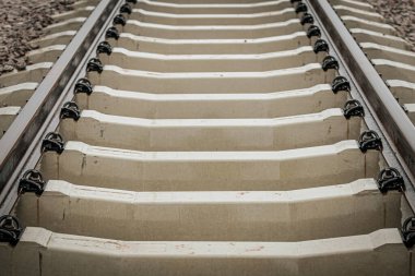 Paslı çelik demiryolu raylarının ayrıntılı görüntüsü beyaz beton üzerine monte edilmiş, arka planda yeşil yapraklarla köşegen bir açıyla yakalanmış..