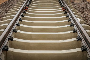 Paslı çelik demiryolu raylarının ayrıntılı görüntüsü beyaz beton üzerine monte edilmiş, arka planda yeşil yapraklarla köşegen bir açıyla yakalanmış..