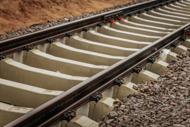 Uzun, düz tren yolları bulutlu bir gökyüzü altında yeşil orman alanlarının arasına kadar uzanıyor ve güçlü bir perspektif ve simetri sunuyor..