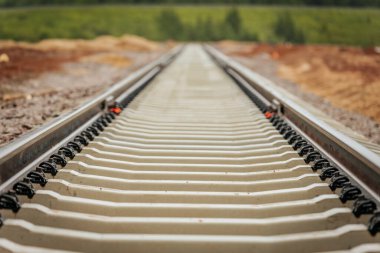 Uzun, düz tren yolları bulutlu bir gökyüzü altında yeşil orman alanlarının arasına kadar uzanıyor ve güçlü bir perspektif ve simetri sunuyor..