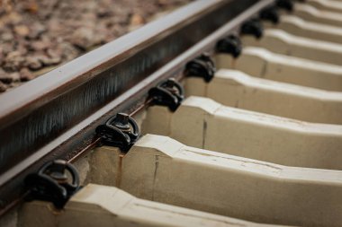 Uzun, düz tren yolları bulutlu bir gökyüzü altında yeşil orman alanlarının arasına kadar uzanıyor ve güçlü bir perspektif ve simetri sunuyor..