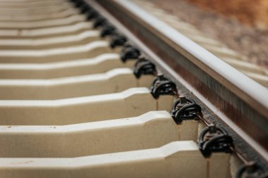 Uzun, düz tren yolları bulutlu bir gökyüzü altında yeşil orman alanlarının arasına kadar uzanıyor ve güçlü bir perspektif ve simetri sunuyor..