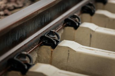 Uzun, düz tren yolları bulutlu bir gökyüzü altında yeşil orman alanlarının arasına kadar uzanıyor ve güçlü bir perspektif ve simetri sunuyor..