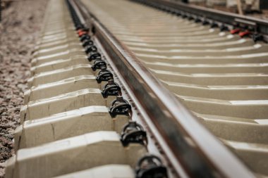 Uzun, düz tren yolları bulutlu bir gökyüzü altında yeşil orman alanlarının arasına kadar uzanıyor ve güçlü bir perspektif ve simetri sunuyor..