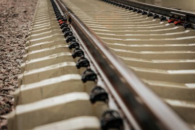 Uzun, düz tren yolları bulutlu bir gökyüzü altında yeşil orman alanlarının arasına kadar uzanıyor ve güçlü bir perspektif ve simetri sunuyor..