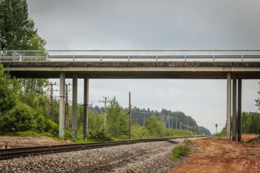 Uzun, düz tren yolları bulutlu bir gökyüzü altında yeşil orman alanlarının arasına kadar uzanıyor ve güçlü bir perspektif ve simetri sunuyor..