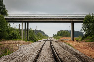 Uzun, düz tren yolları bulutlu bir gökyüzü altında yeşil orman alanlarının arasına kadar uzanıyor ve güçlü bir perspektif ve simetri sunuyor..