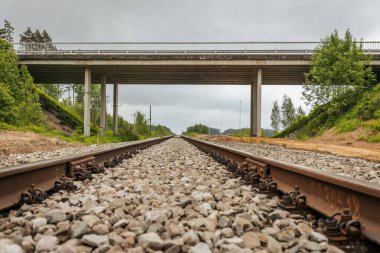 Uzun, düz tren yolları bulutlu bir gökyüzü altında yeşil orman alanlarının arasına kadar uzanıyor ve güçlü bir perspektif ve simetri sunuyor..