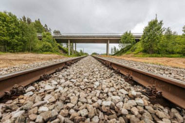 Uzun, düz tren yolları bulutlu bir gökyüzü altında yeşil orman alanlarının arasına kadar uzanıyor ve güçlü bir perspektif ve simetri sunuyor..