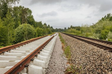 Uzun, düz tren yolları bulutlu bir gökyüzü altında yeşil orman alanlarının arasına kadar uzanıyor ve güçlü bir perspektif ve simetri sunuyor..