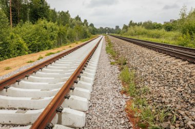 Uzun, düz tren yolları bulutlu bir gökyüzü altında yeşil orman alanlarının arasına kadar uzanıyor ve güçlü bir perspektif ve simetri sunuyor..