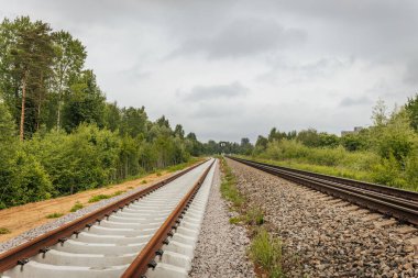 Uzun, düz tren yolları bulutlu bir gökyüzü altında yeşil orman alanlarının arasına kadar uzanıyor ve güçlü bir perspektif ve simetri sunuyor..