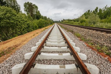 Uzun, düz tren yolları bulutlu bir gökyüzü altında yeşil orman alanlarının arasına kadar uzanıyor ve güçlü bir perspektif ve simetri sunuyor..