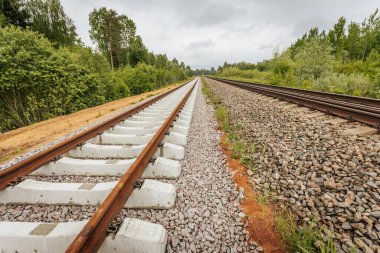 Uzun, düz tren yolları bulutlu bir gökyüzü altında yeşil orman alanlarının arasına kadar uzanıyor ve güçlü bir perspektif ve simetri sunuyor..